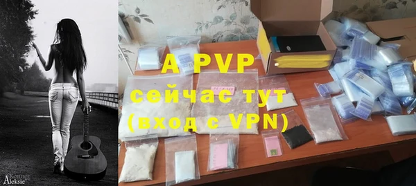 бошки Осинники