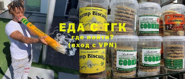 индика Нягань