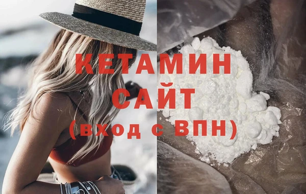 индика Нягань