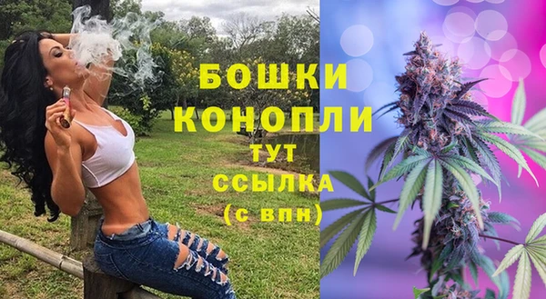 бошки Осинники