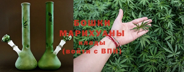 индика Нягань