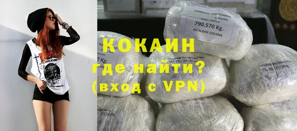 бошки Осинники