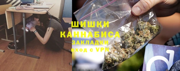 бошки Осинники