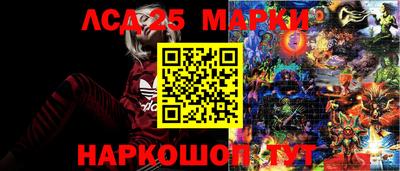 спайс Гай